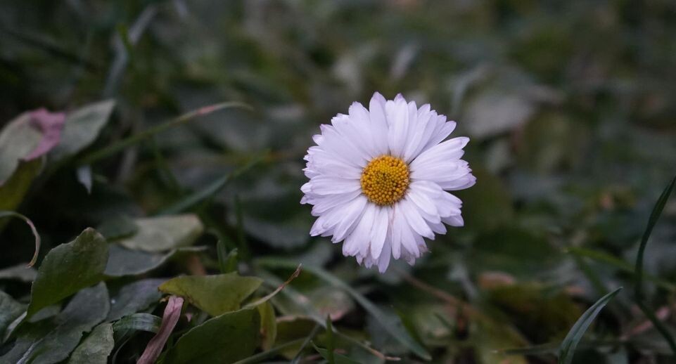    mediabankmo.ru / Екатерина Елисеева