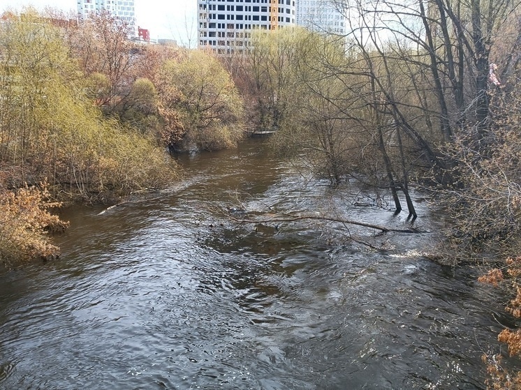     Река Исеть. фото: Николай Курилов / МК-Урал
