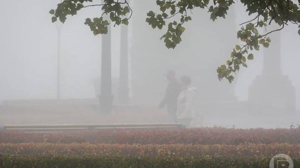 Сильные порывы ветра накроют Волгоград 24 апреля