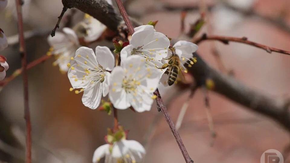 Что нужно делать в день Антипы Водогона, 24 апреля, ради своего же блага