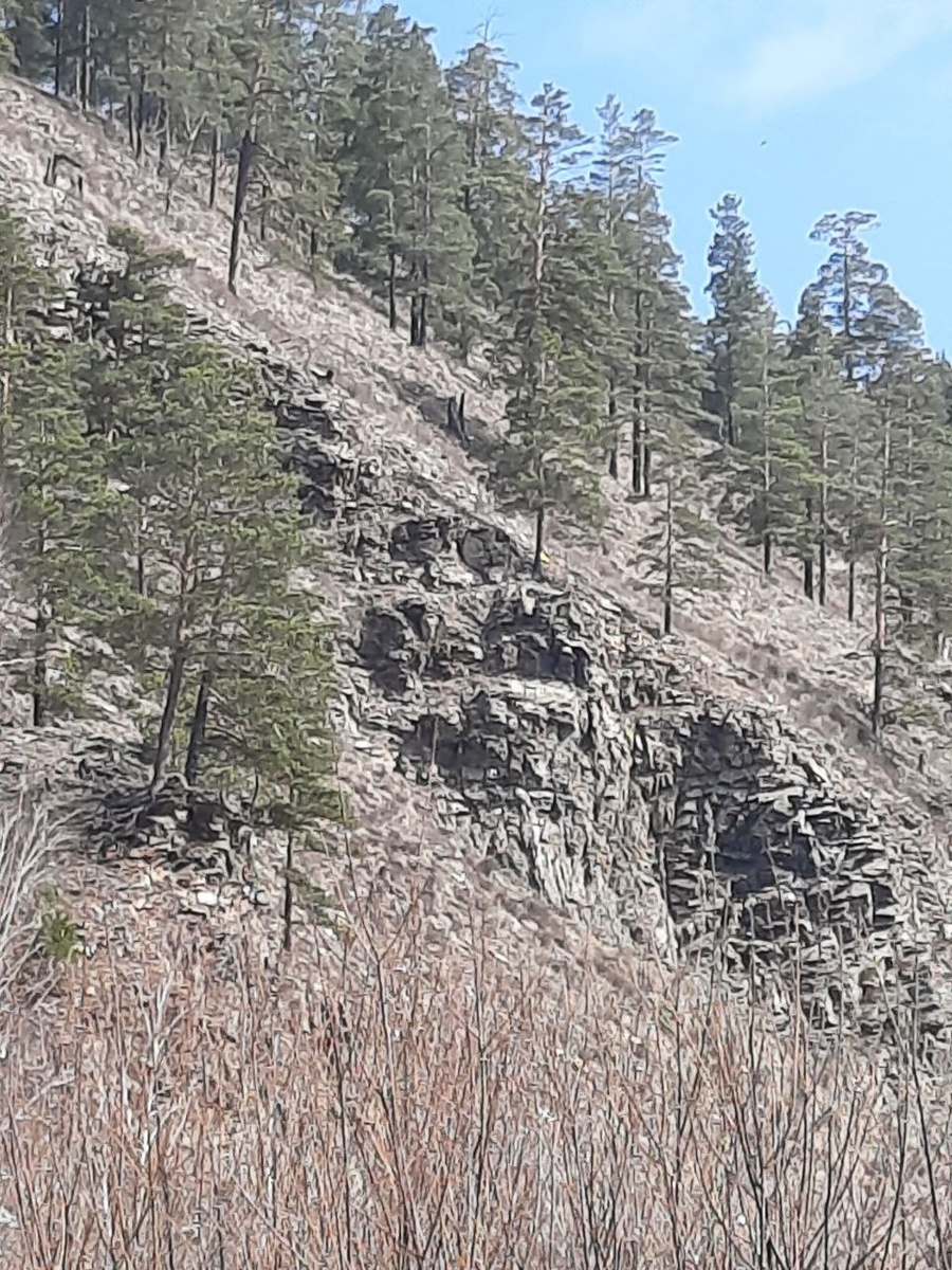 Фото автора.