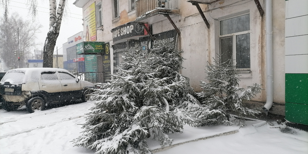 Не говори, что все хорошо, помалкивай в тряпочку