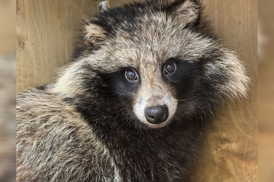    Так малыш выглядит сейчас из личного архива героя(ев) публикации
