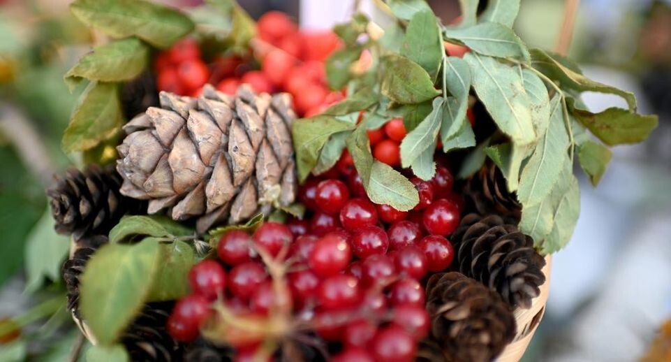    РИА «Новости»