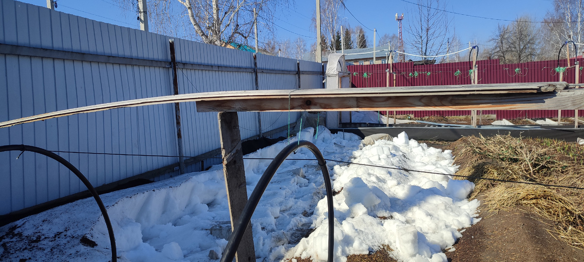 Скоро снег растает и я смогу оценить масштаб катастрофы.... 