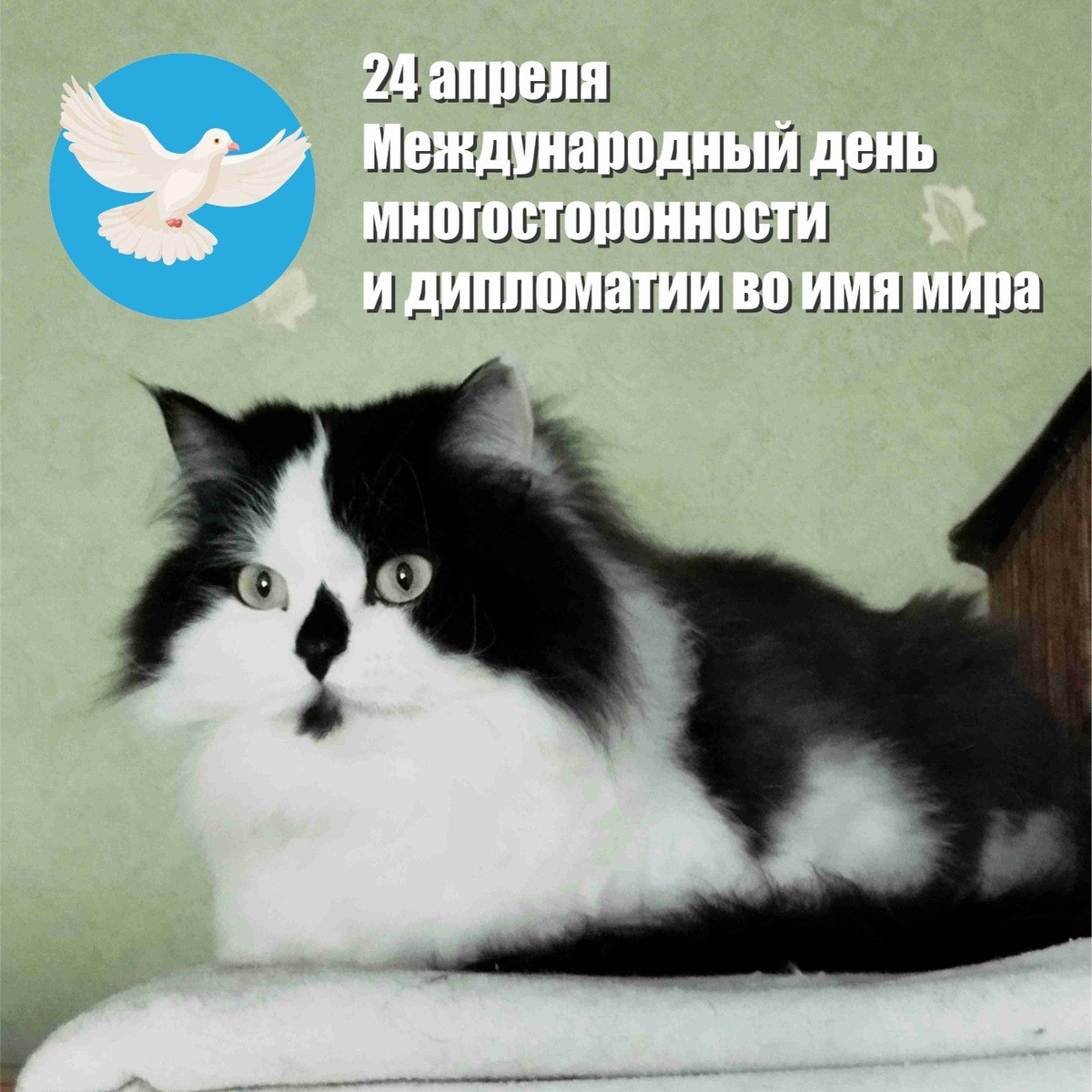 🐾 Комментарий Котейки По Имени Роршах: