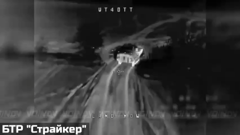    Поражение БТР "Страйкер" ВСУ. Работали операторы расчета БПЛА 36-й гвардейской бригады ГВ "Восток", Днепропетровская область. Видео: "Воин DV"