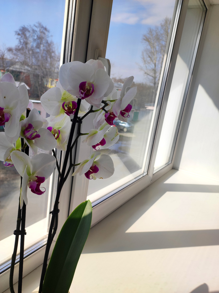 С утра солнечно ☀️😊