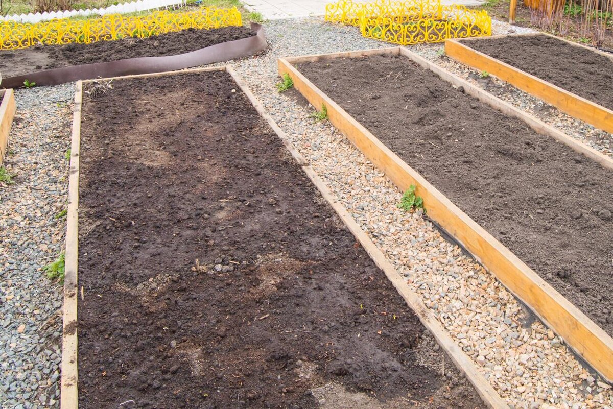     123RF/legion-media.ru