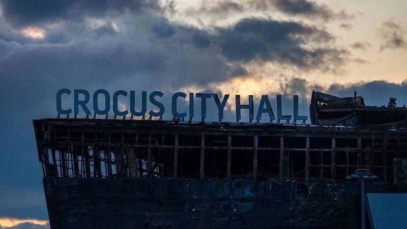    Фото: Studio MDF/Shutterstock/Fotodom