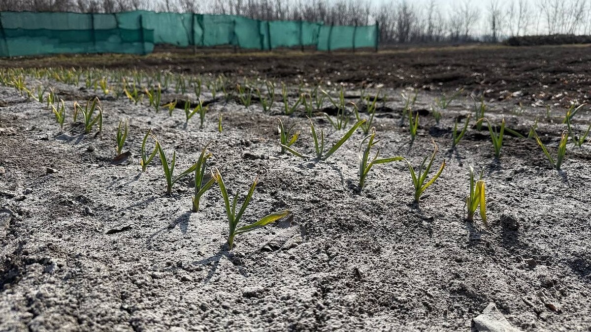    Фото: телеканал «Краснодар»