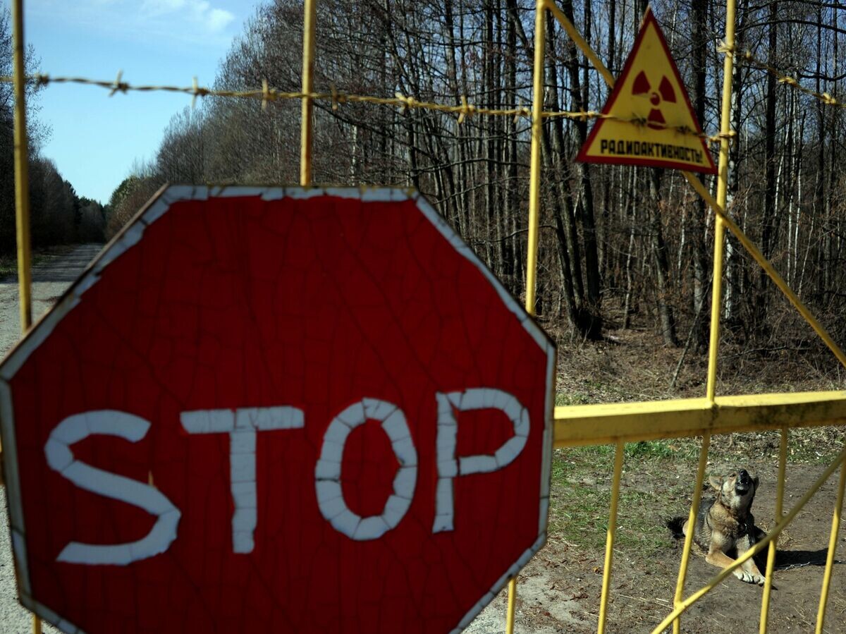    Собака у деревни Новоселки на территории Полесского радиационно-экологического заповедника в Белоруссии | © РИА Новости / Виталий Залесский