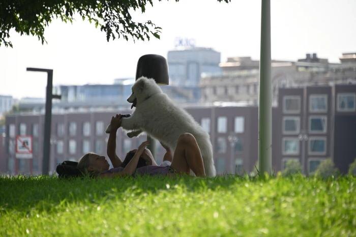 Обложка © Life.ru