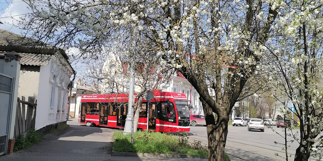 Впечатления о весеннем Таганроге.
