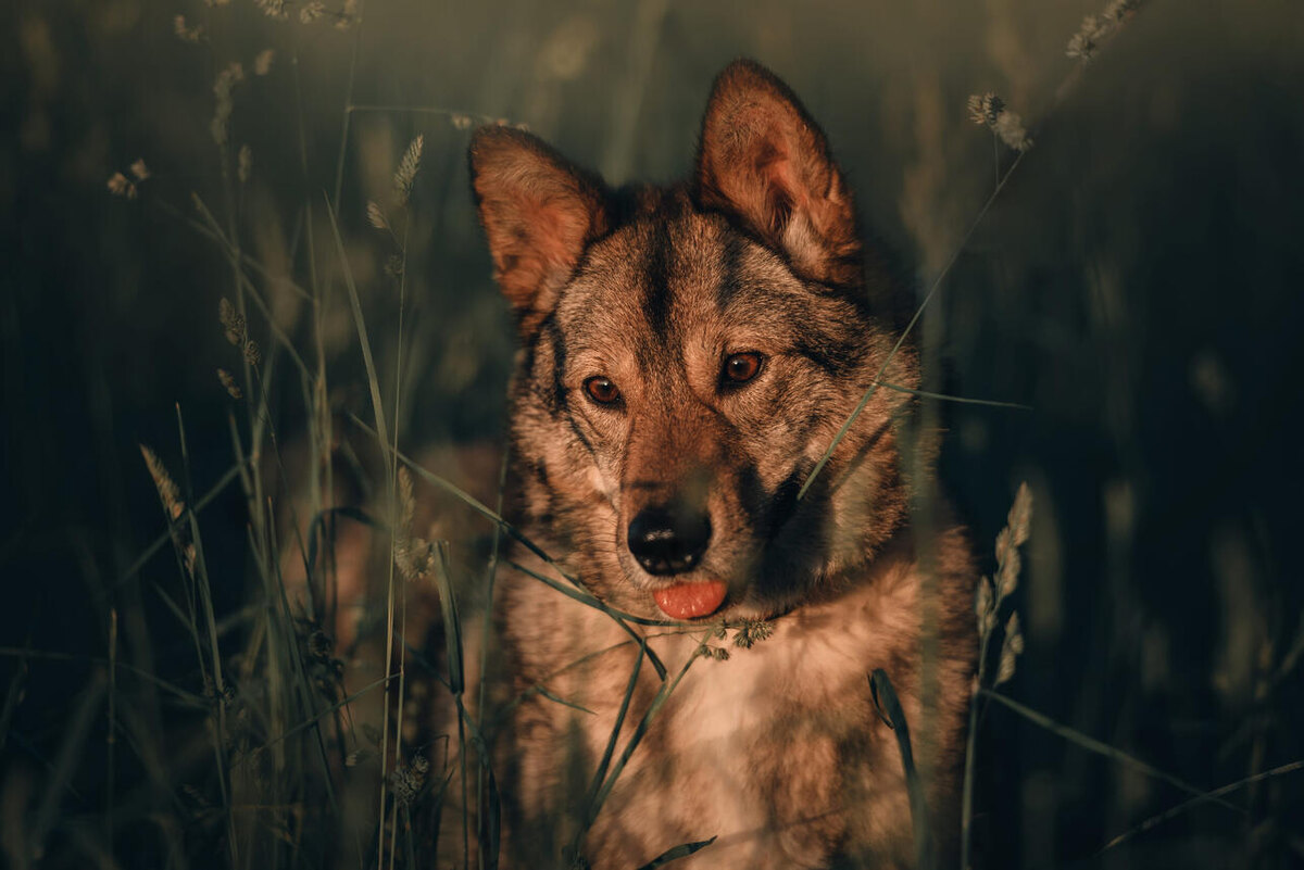     123RF/legion-media.ru