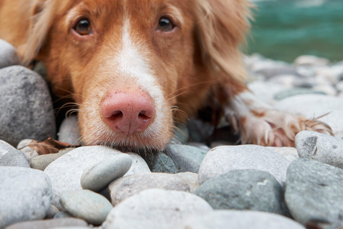     123RF/legion-media.ru