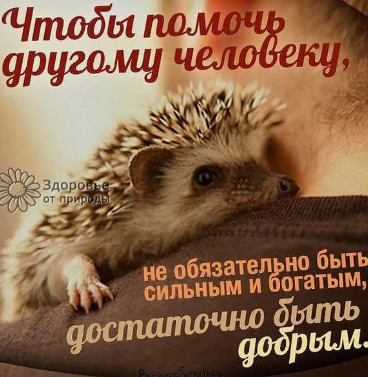 примерно по такому постулату я и живу
