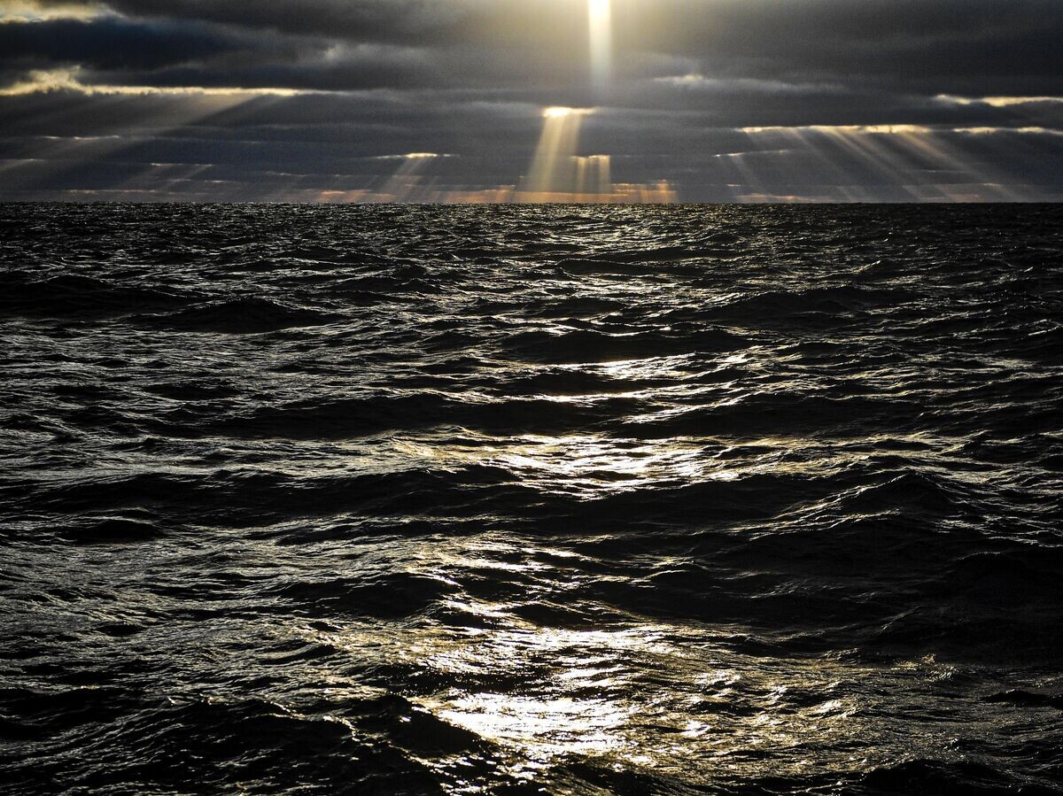    Вид на Карское море | © РИА Новости / Владимир Песня