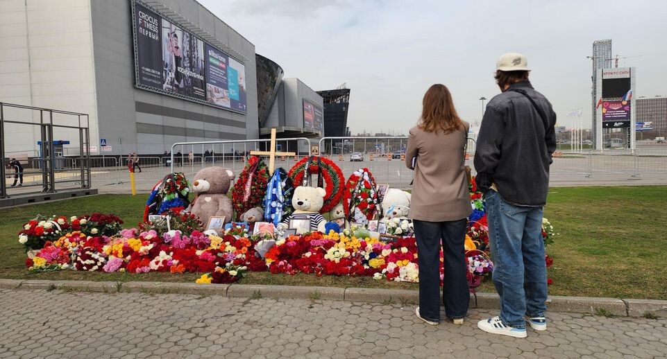    mediabankmo.ru / Артем Мишуков