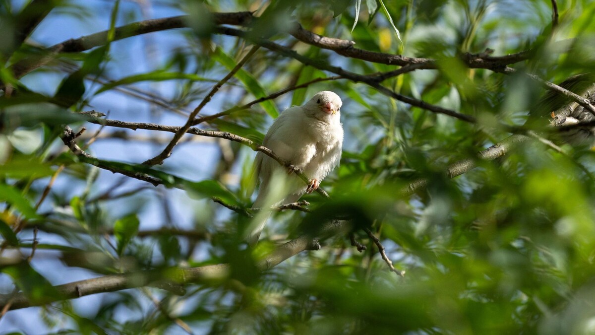    Фото: Федор Воронов/«Ямал-Медиа»