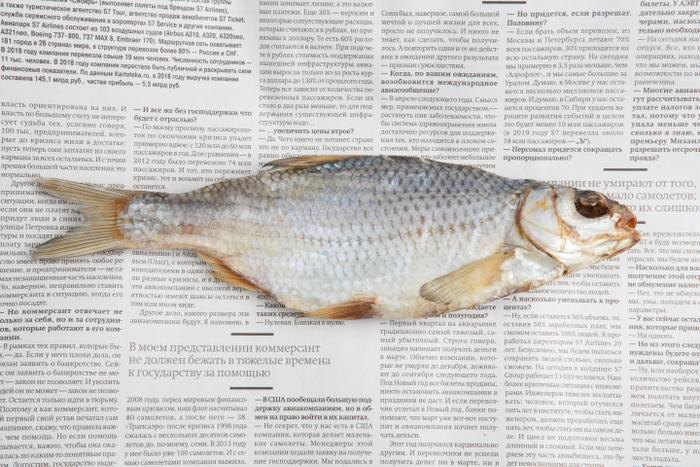 Как вобла из народной закуски превратилась в дефицит и деликатес. Фото © Shutterstock / FOTODOM / limipix
