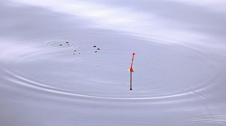    Фото: abn.agency