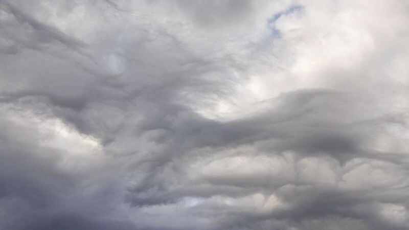    Фото: Фёдор Воронов/«Ямал-Медиа»