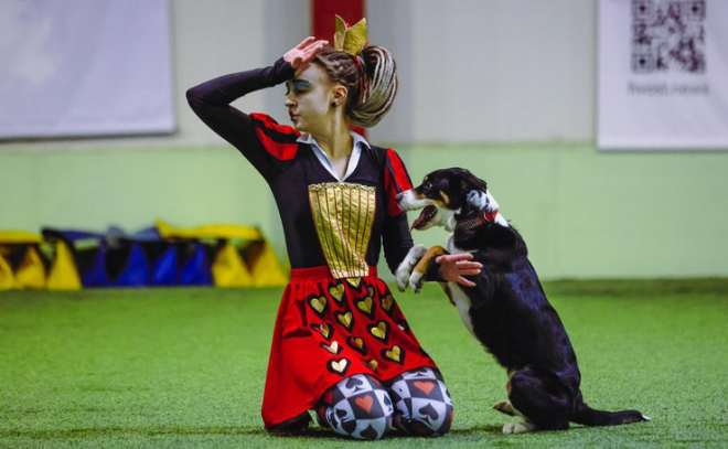    © https://lenobl.ru/ru/dlya-smi/news/93540/