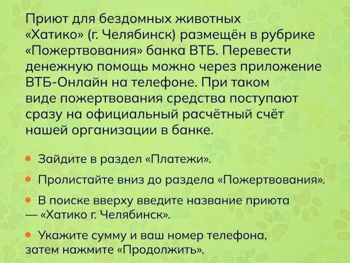 Приют для бездомных животных "Хатико" г.Челябинск размещен в рубрике «Пожертвования» банка ВТБ