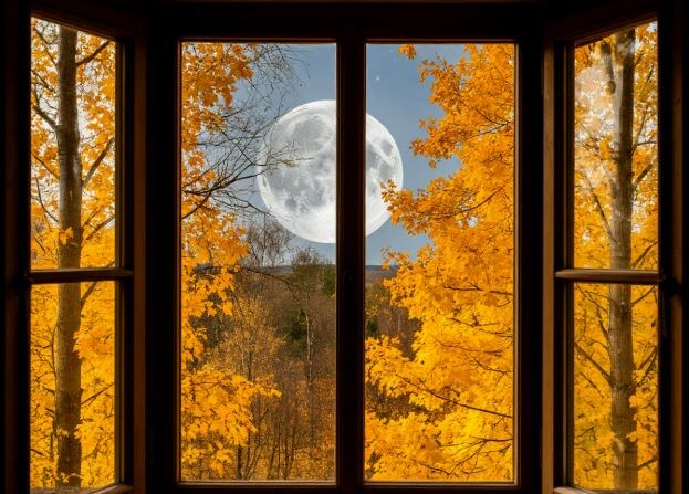 Пропащее поколение. 13-1