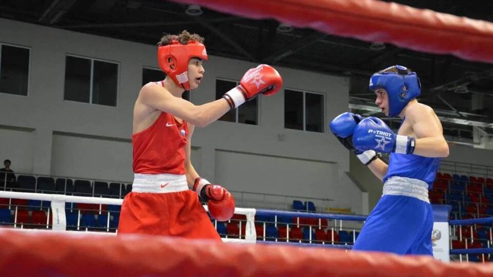 24 медали завоевали волгоградские боксеры на домашнем первенстве ЮФО