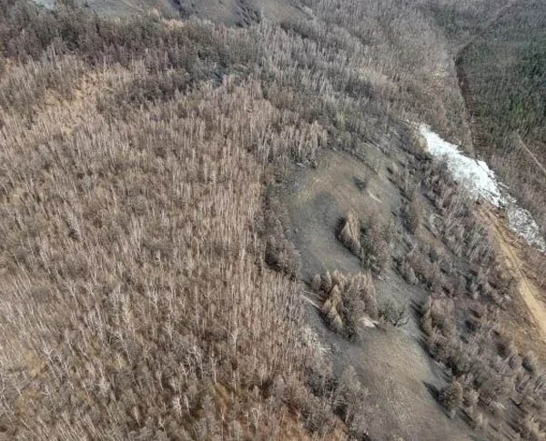 Пожар в Закаменском лесничестве Бурятии потушили