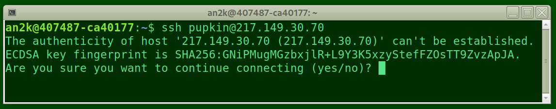 На скриншоте: an2k - мой логин на моем ноутбуке, после собаки имя машины, после двоеточья ~ тильда, знак того, что я нахожусь в домашней папке, потом $ - это приглашение командной строки вводить команду, дальше собственно команда ssh с параметрами, затем две строки сообщения ssh сервера и третья - предложение продолжить процесс соединения: нужно написать полностью слово yes и нажать Enter.