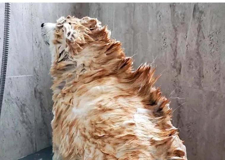 Психолог Самбурский в МАХ