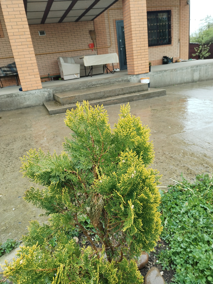 Фото автора. 