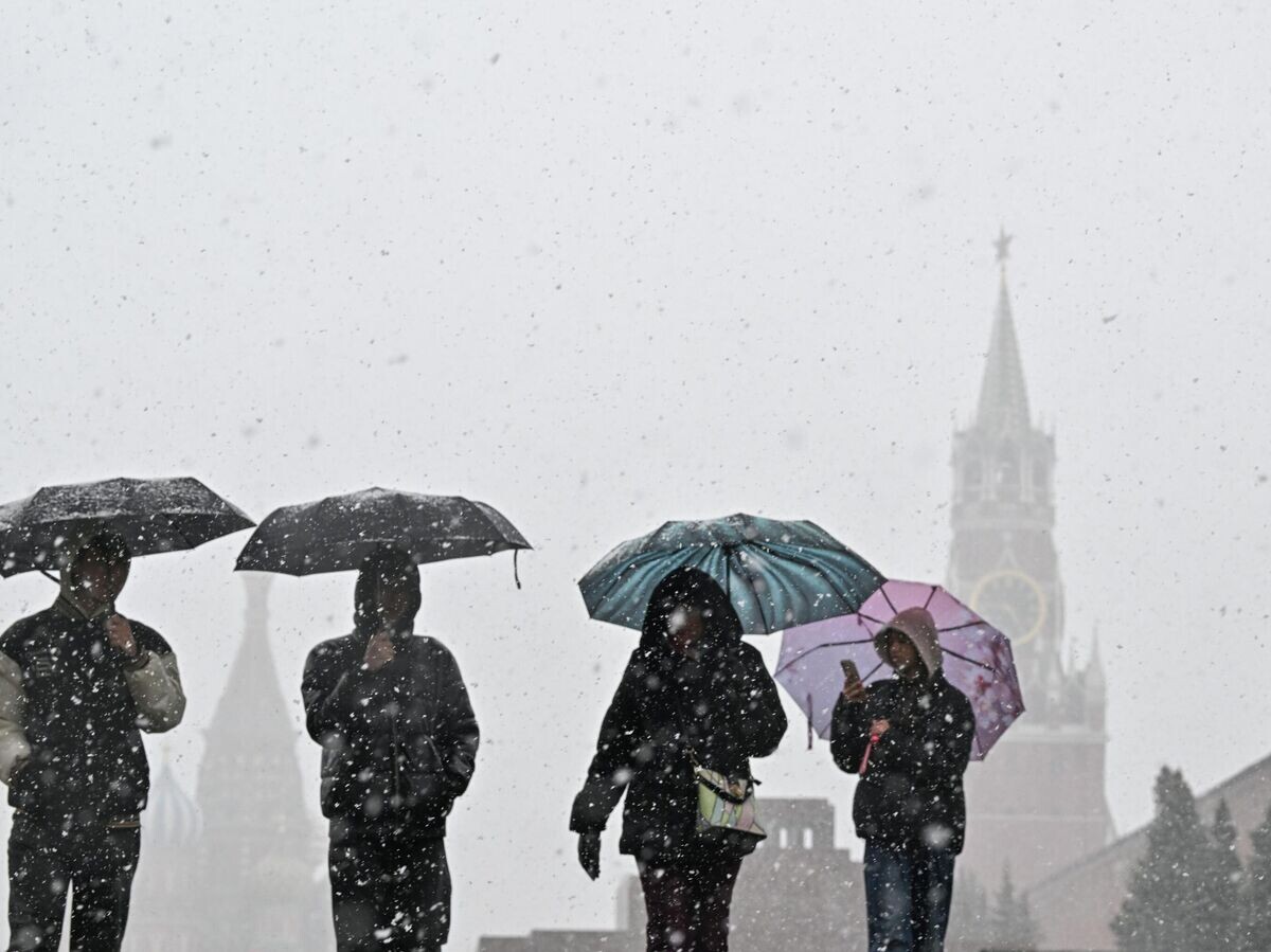    Снег в Москве | © РИА Новости / Сергей Бобылев