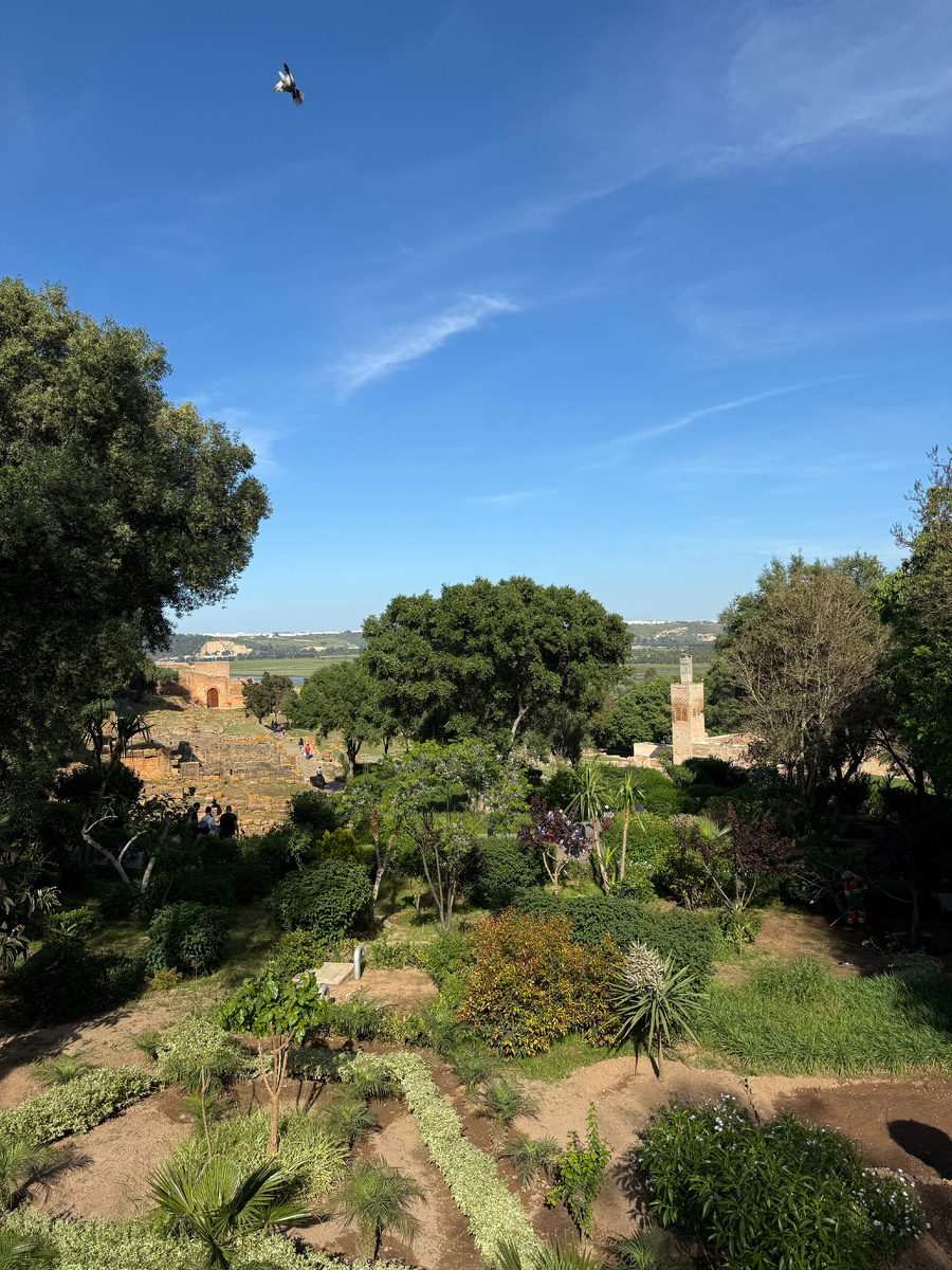 Крепость Шелла