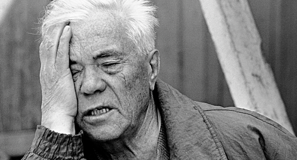 «Покрышкин, сбивший всего два самолета, вдруг стал героем»