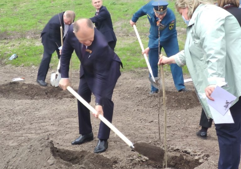 Второй за пять лет «Сад памяти» заложат в Брянске — потом могут переименовать