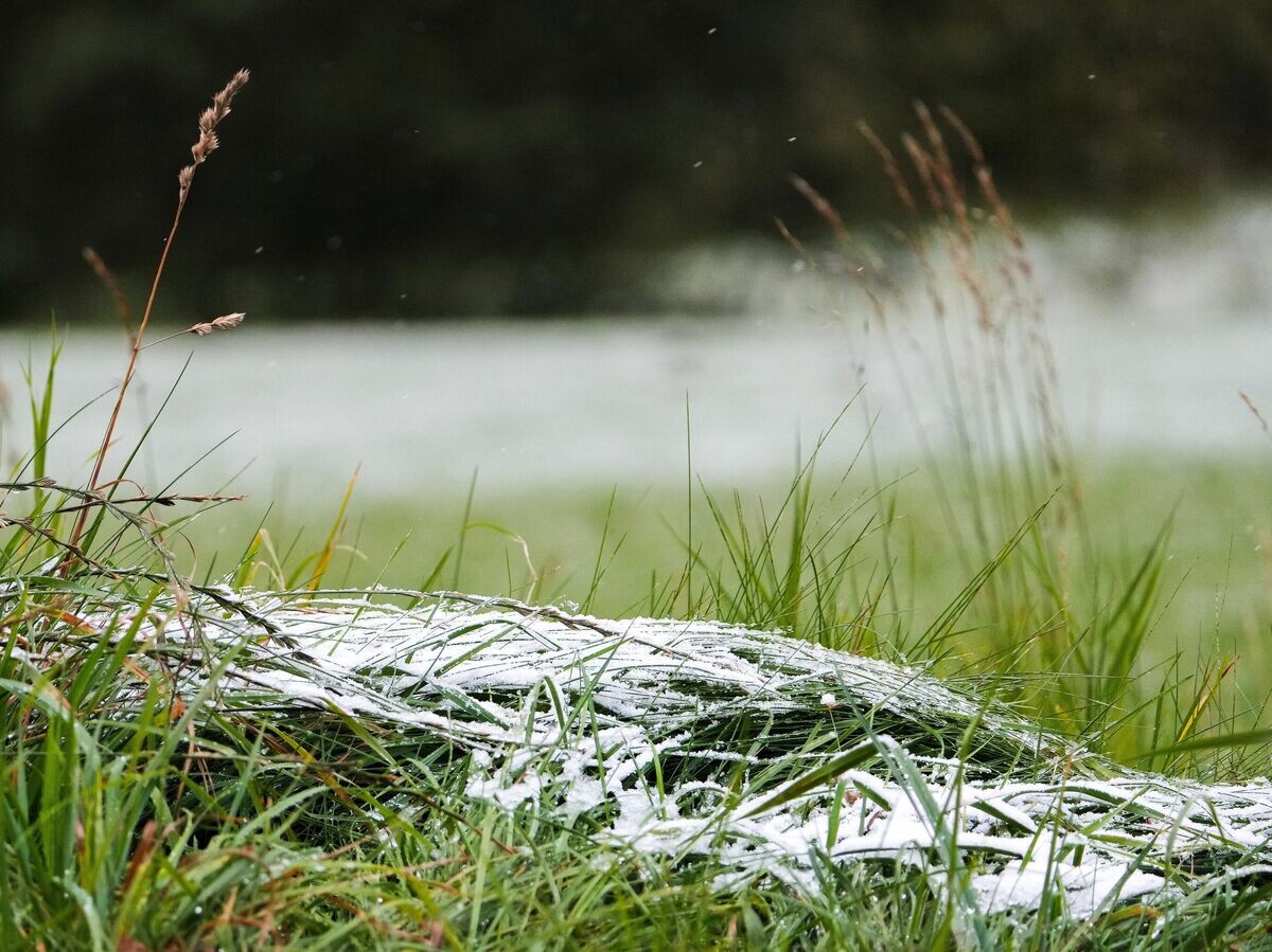    Снег на траве | © РИА Новости / Александр Вильф