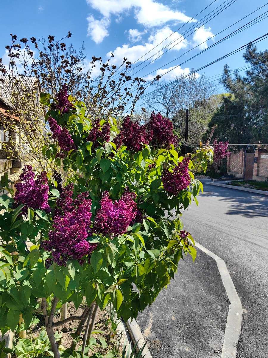 Фото автора канала
