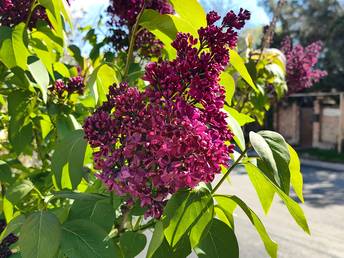 Фото автора канала