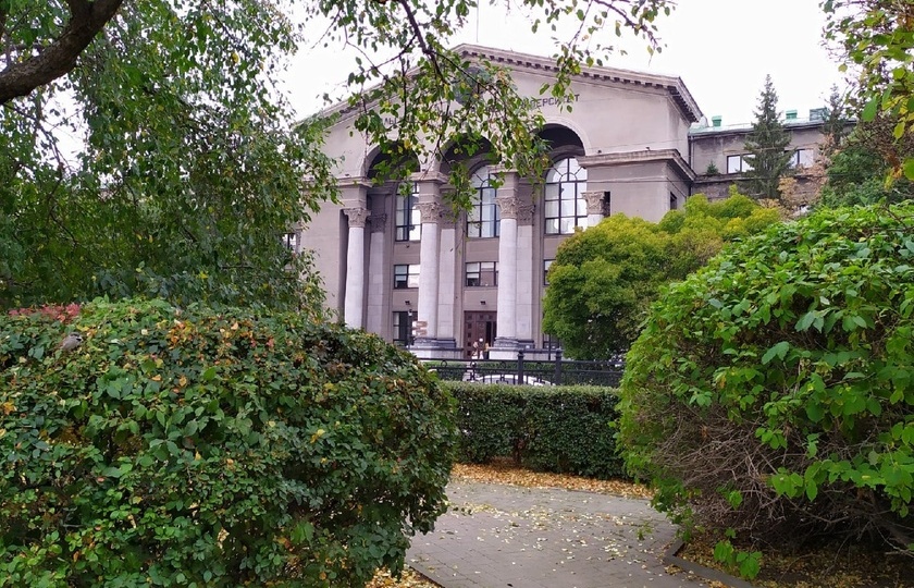 Куда поступают выпускники екатеринбургских школ в этом году