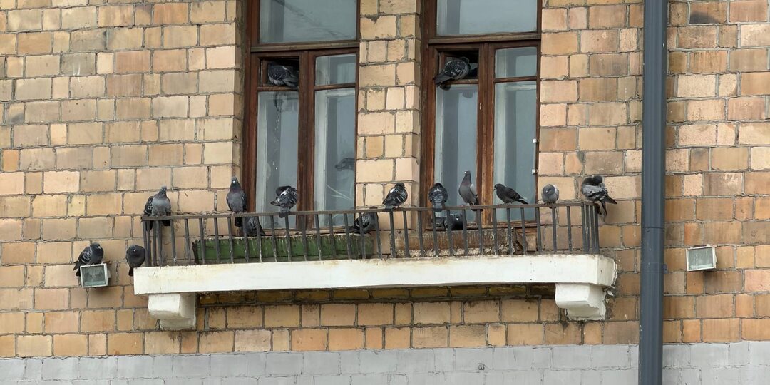 Этот день настал! Мне пригодился 8-кратный зум в реальной жизни