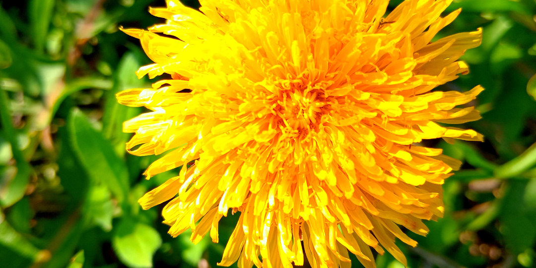 Доброе утро, дорогие подписчики и гости моего канала!