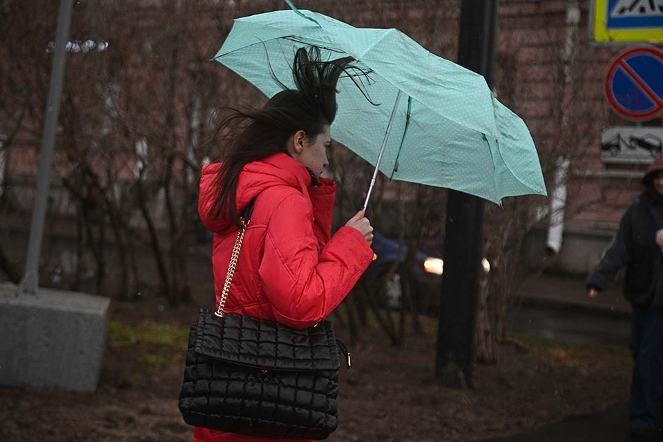    Горожан призвали обходить стороной шаткие конструкции и старые деревья. Алексей БУЛАТОВ