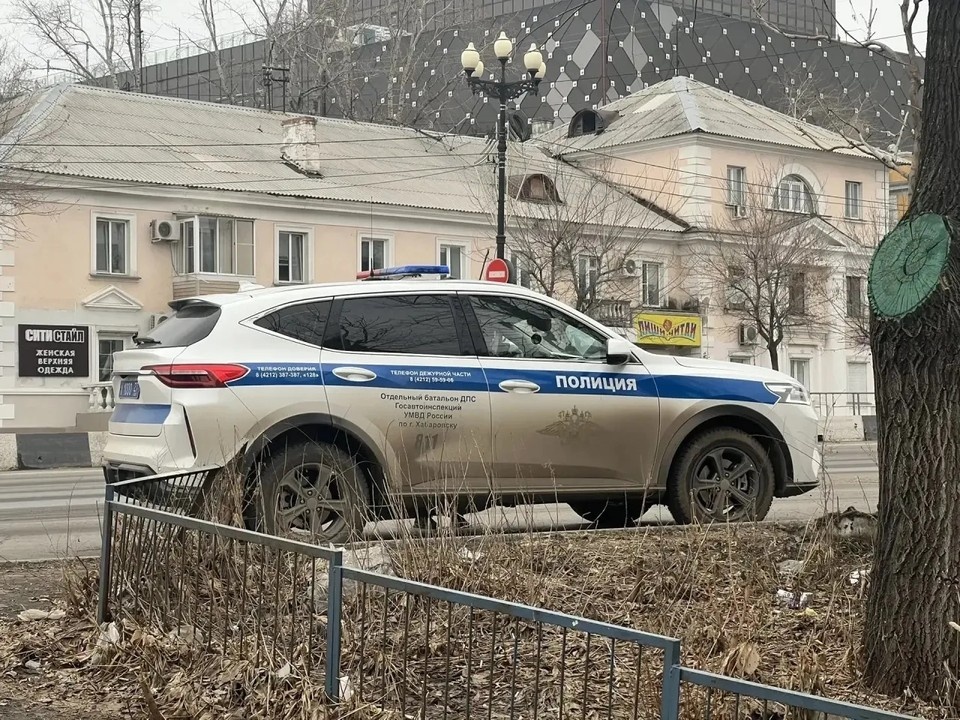    Фото: Таисия Степанова