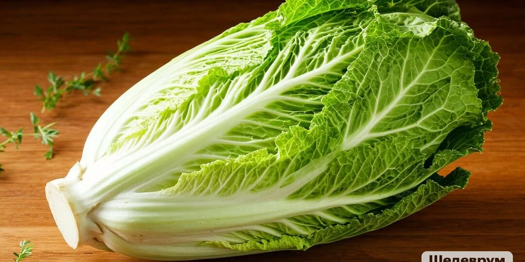Заражённую трипсом пекинскую капусту из Узбекистана обезвредят в Челябинске