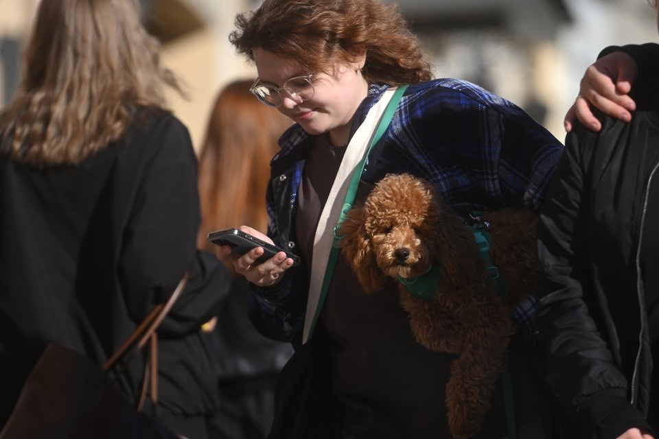    ФСБ: спецслужбы Киева через мессенджеры толкают молодежь РФ к радикализации Алексей БУЛАТОВ