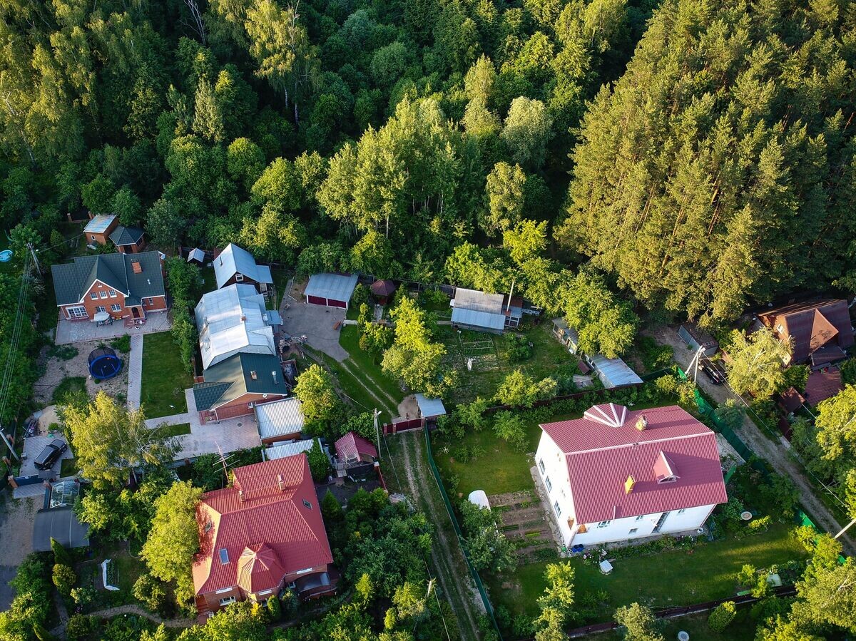    Дачные участки в Подмосковье | © РИА Новости / Алексей Куденко